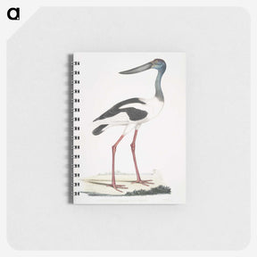 1-79_Indian-Zoology_memo