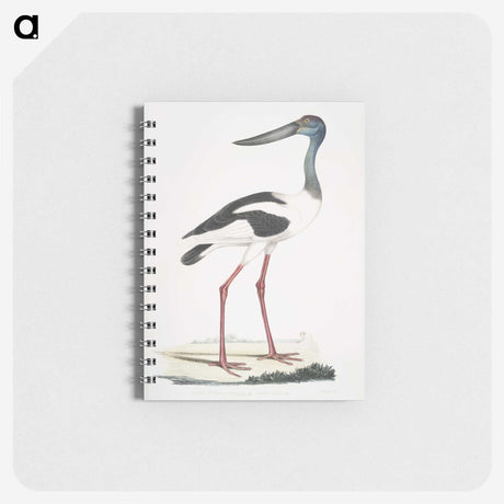 1-79_Indian-Zoology_memo