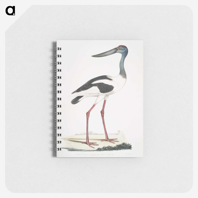 1-79_Indian-Zoology_memo