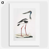 1-79_Indian-Zoology_picture