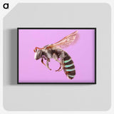 1-79_Insects-Unlocked-Project_blk-crop