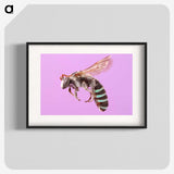 1-79_Insects-Unlocked-Project_blk