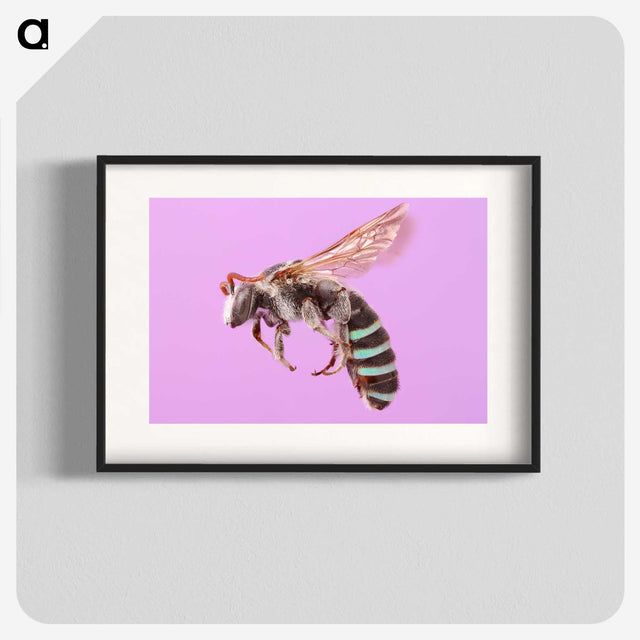 1-79_Insects-Unlocked-Project_blk