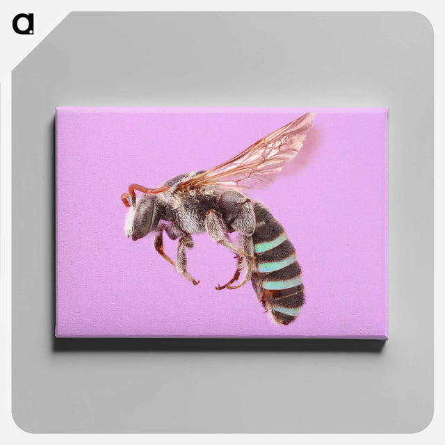 1-79_Insects-Unlocked-Project_canvas