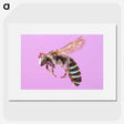 1-79_Insects-Unlocked-Project_picture