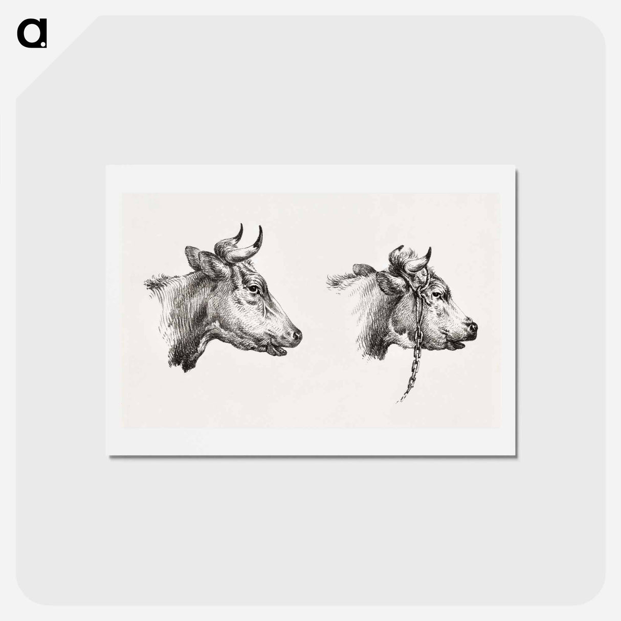 アートポストカード-Two bull heads by Jean Bernard - ジャン ベルナール Postcard.