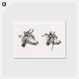 アートポストカード-Two bull heads by Jean Bernard - ジャン ベルナール Postcard.
