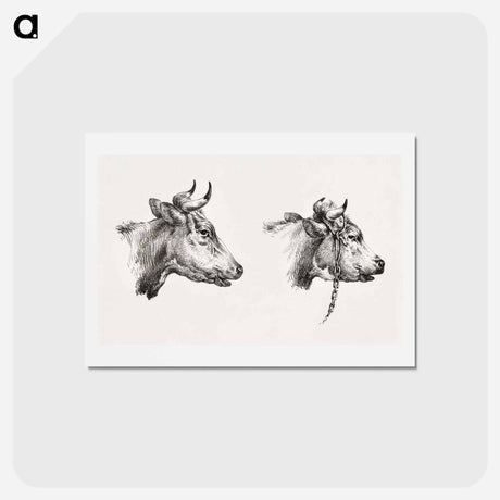アートポストカード-Two bull heads by Jean Bernard - ジャン ベルナール Postcard.