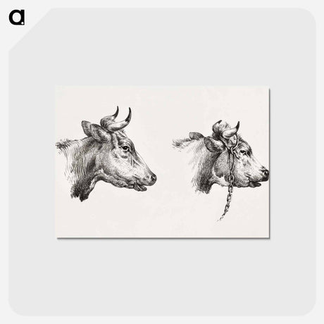 アートポストカード-Two bull heads by Jean Bernard - ジャン ベルナール Postcard.