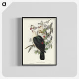 1-79_John-Gould_blk-crop