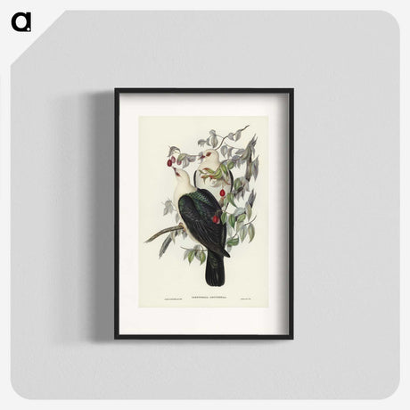 1-79_John-Gould_blk
