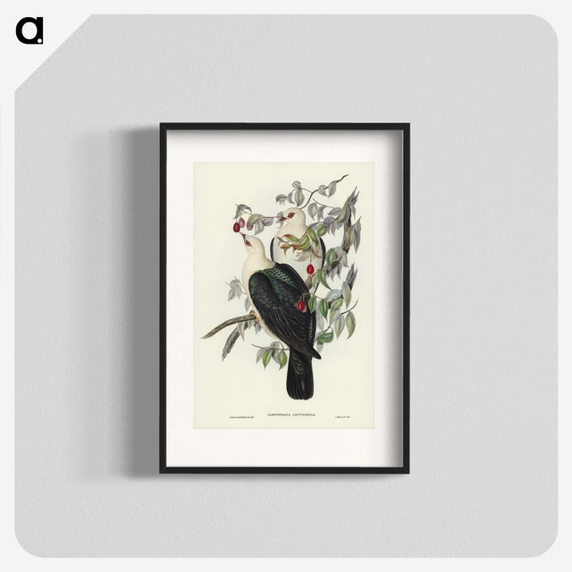 1-79_John-Gould_blk