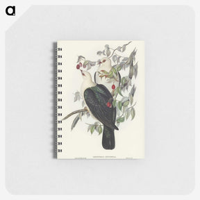 1-79_John-Gould_memo