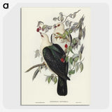 1-79_John-Gould_picture-crop