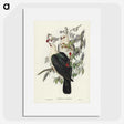 1-79_John-Gould_picture
