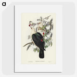 1-79_John-Gould_picture