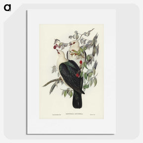 1-79_John-Gould_picture
