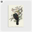 1-79_John-Gould_postcard