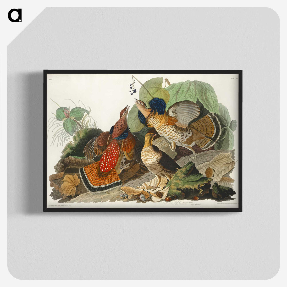 1-79_John-James-Audubon_blk-crop