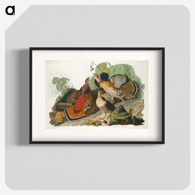 1-79_John-James-Audubon_blk