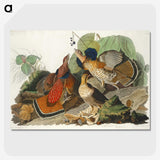 1-79_John-James-Audubon_picture-crop