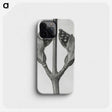 1-79_Karl-Blossfeldt_phone