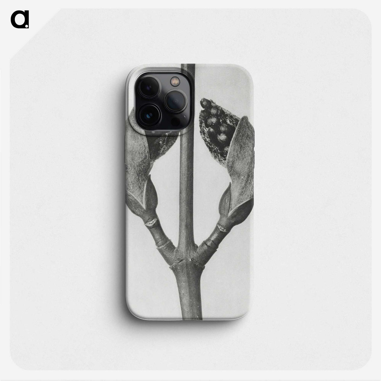 1-79_Karl-Blossfeldt_phone