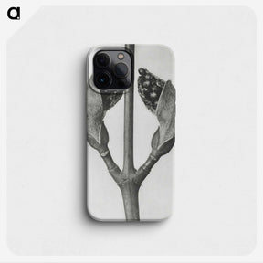 1-79_Karl-Blossfeldt_phone