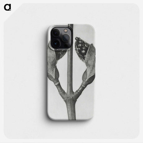1-79_Karl-Blossfeldt_phone