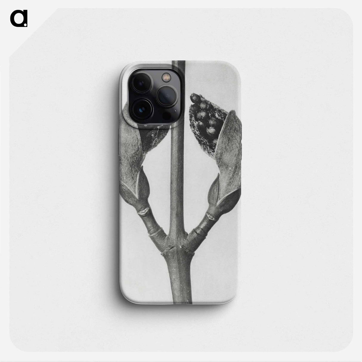 Acer Rufinerve - カール ブロスフェルト Phone Case.