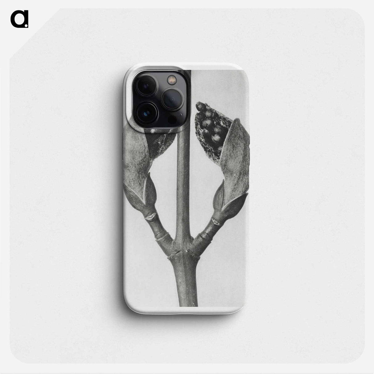 Acer Rufinerve - Karl Blossfeldt Phone Case.