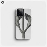 Acer Rufinerve - Karl Blossfeldt Phone Case.