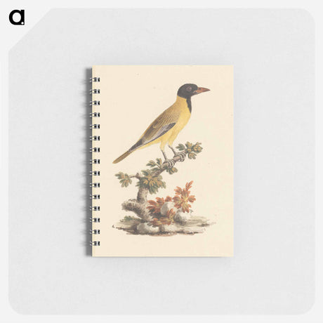 アートメモ帳-Oriolus monacha
 - ルイージ バルガーニ Memo.