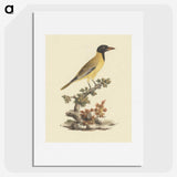1-79_Luigi-Balugani_picture