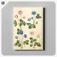 1-79_Maria-Sibylla-Merian_canvas