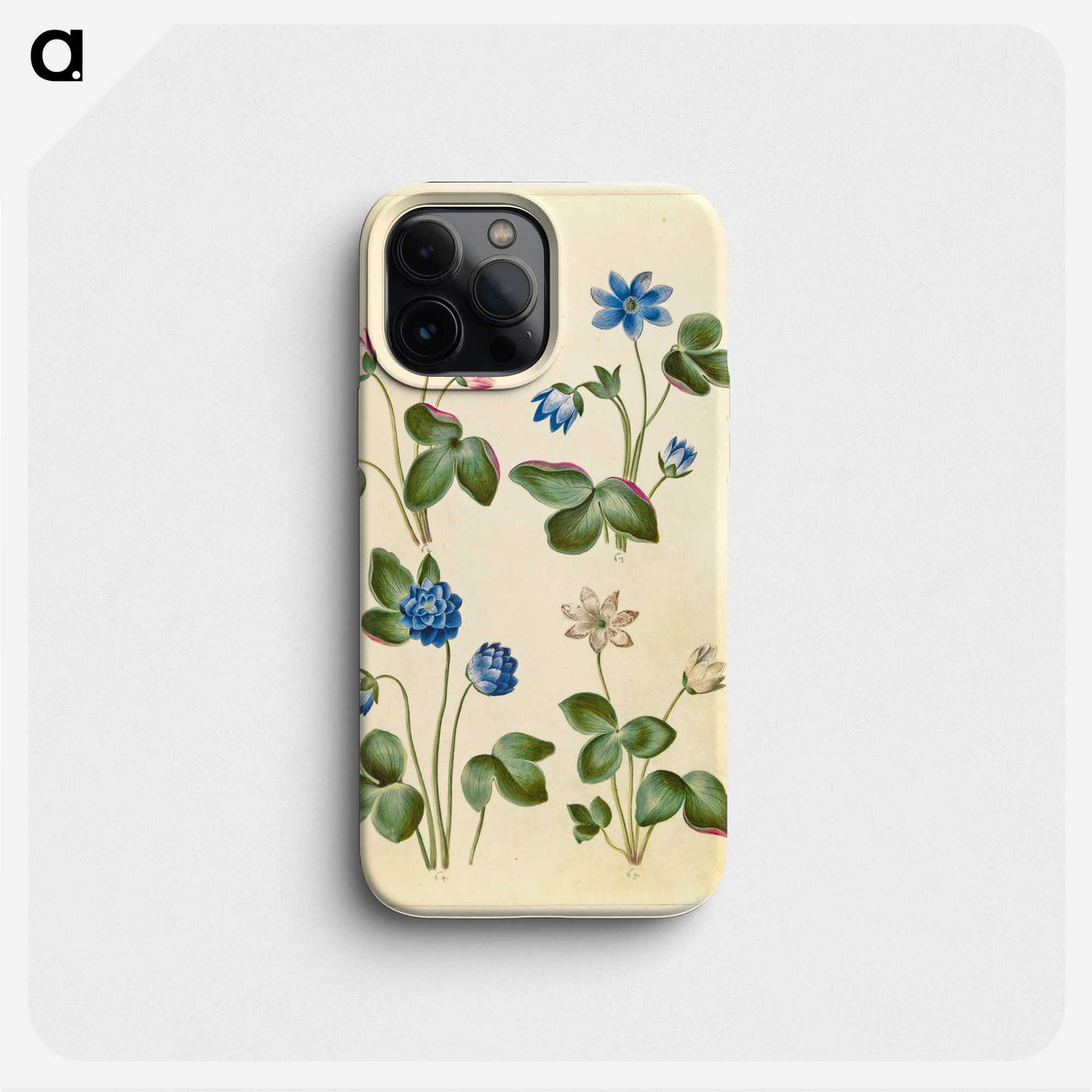 1-79_Maria-Sibylla-Merian_phone