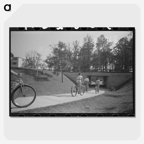 1-79_Marion-Post-Wolcott_picture-crop