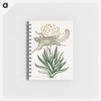 1-79_Mark-Catesby_memo