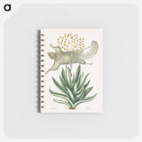 1-79_Mark-Catesby_memo