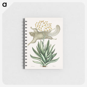 1-79_Mark-Catesby_memo