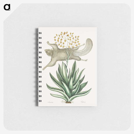 1-79_Mark-Catesby_memo