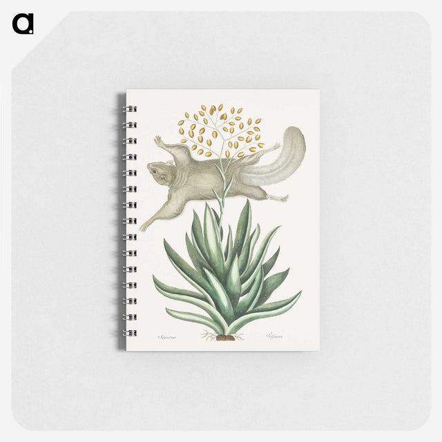 1-79_Mark-Catesby_memo