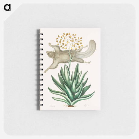 アートメモ帳-Flying Squirrel
 - マーク ケイツビー Memo.