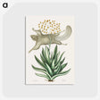 1-79_Mark-Catesby_postcard
