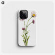 1-79_Mary-Vaux-Walcott_phone