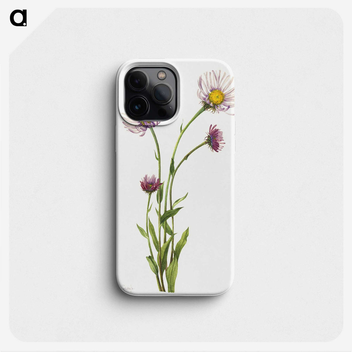 1-79_Mary-Vaux-Walcott_phone