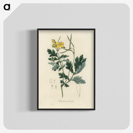 1-79_Medical-Botany_blk-crop