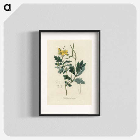1-79_Medical-Botany_blk