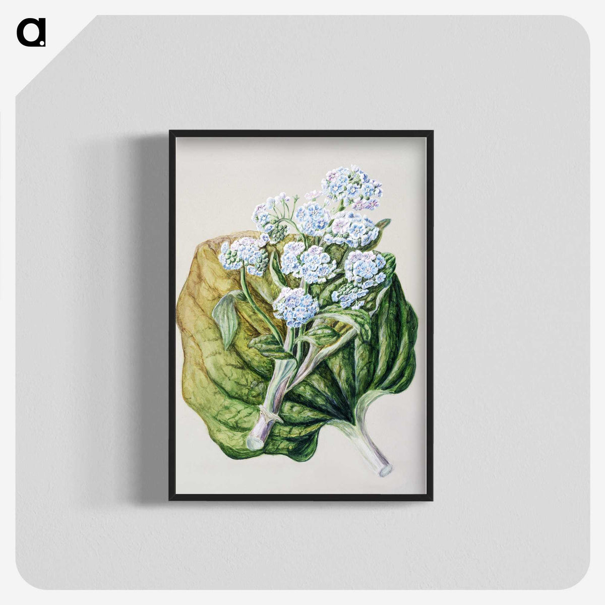 1-79_Native-Flowering-Plants-of-New-Zealand_blk-crop