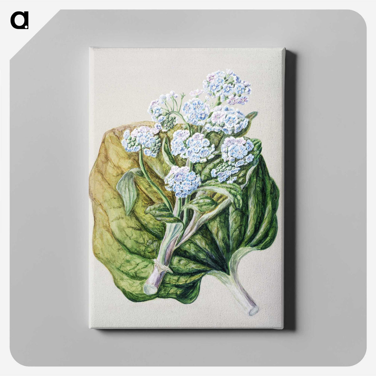 1-79_Native-Flowering-Plants-of-New-Zealand_canvas